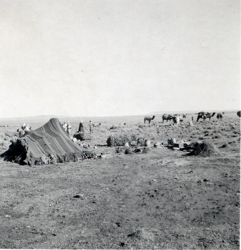 CRAMPEL 1959  (4).jpg